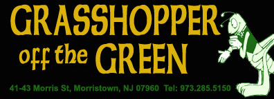 Paddy and the Pale Boys perform their unique brand of Irish Traditional music at the Grasshopper Off The Green in Morristown, New Jersey